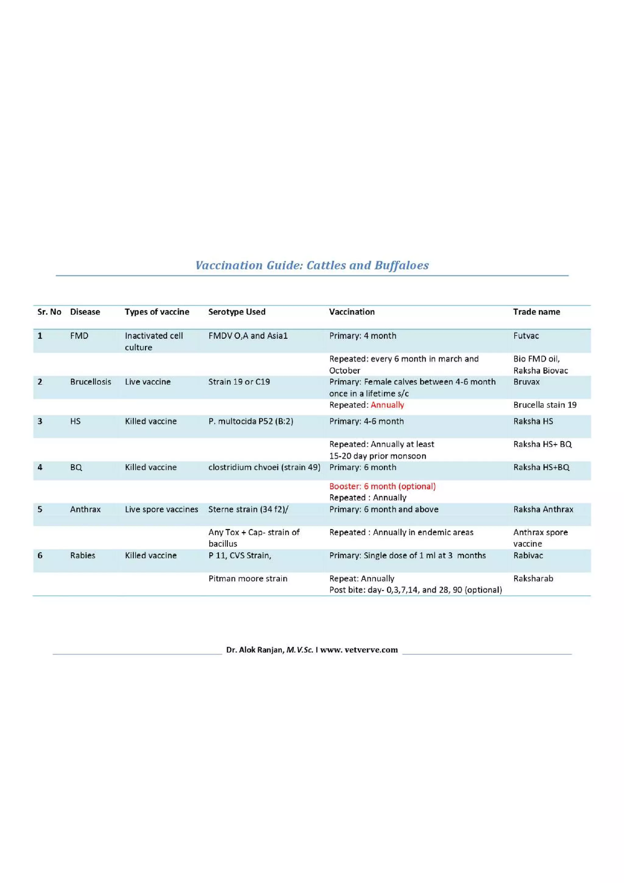 Vaccination guide cattle PDF Vaccines Medical Health