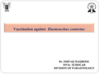 Vaccination against Haemonchus contortus
Dr. ISHFAQ MAQBOOL
MVSc SCHOLAR
DIVISION OF PARASITOLOGY
 