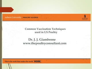 Common Vaccination Techniques
used in US Poultry
Dr. J. J. Giambrone
www.thepoultryconsultant.com
 