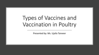 Types of Vaccines and
Vaccination in Poultry
Presented by: Ms. Ujalla Tanveer
 