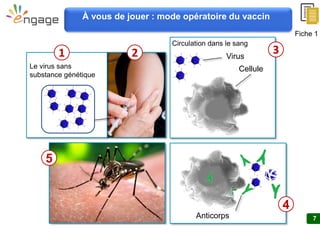 7
Fiche 1
À vous de jouer : mode opératoire du vaccin
Virus
Cellule
3
Circulation dans le sang
5
2
Anticorps
4
Le virus sans
substance génétique
1
 