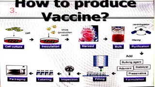 Vaccination process & methods of Preparation