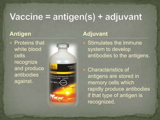 Antigen<br />Proteins that white blood cells recognize and produce antibodies against.<br />Stimulates the immune system t...