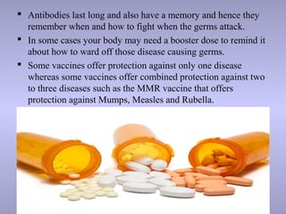  Antibodies last long and also have a memory and hence they
remember when and how to fight when the germs attack.
 In some cases your body may need a booster dose to remind it
about how to ward off those disease causing germs.
 Some vaccines offer protection against only one disease
whereas some vaccines offer combined protection against two
to three diseases such as the MMR vaccine that offers
protection against Mumps, Measles and Rubella.
 