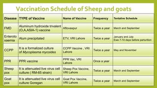 Vaccination | Vaccination Schedule | Vaccination Types | Cold Chain ...