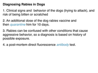 Diagnosing Rabies in Dogs
1. Clinical signs and behavior of the dogs (trying to attack), and
risk of being bitten or scratched
2. An additional dose of the dog rabies vaccine and
then quarantine him for 10 days.
3. Rabies can be confused with other conditions that cause
aggressive behavior, so a diagnosis is based on history of
possible exposure.
4. a post-mortem direct ﬂuorescence antibody test.
 