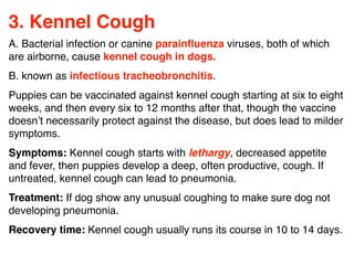 3. Kennel Cough
A. Bacterial infection or canine parainﬂuenza viruses, both of which
are airborne, cause kennel cough in dogs.
B. known as infectious tracheobronchitis.
Puppies can be vaccinated against kennel cough starting at six to eight
weeks, and then every six to 12 months after that, though the vaccine
doesn’t necessarily protect against the disease, but does lead to milder
symptoms.
Symptoms: Kennel cough starts with lethargy, decreased appetite
and fever, then puppies develop a deep, often productive, cough. If
untreated, kennel cough can lead to pneumonia.
Treatment: If dog show any unusual coughing to make sure dog not
developing pneumonia.
Recovery time: Kennel cough usually runs its course in 10 to 14 days.
 