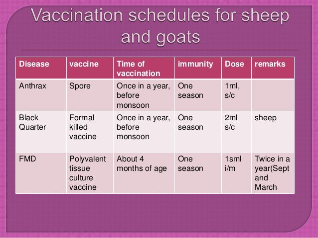 Goat Vaccination Schedule Chart