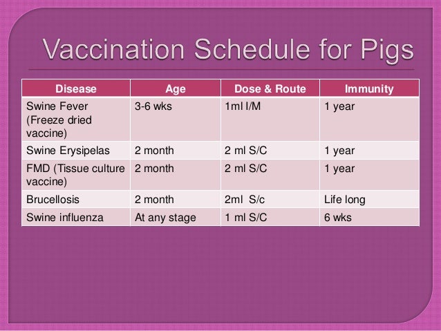 Pig Vaccination Chart