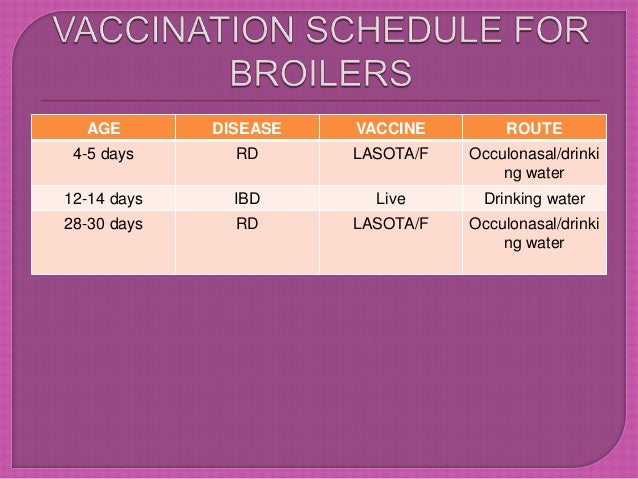 Vaccination schedule of animals and poultry