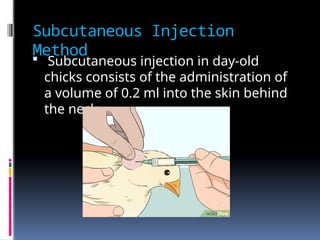 Comprehensive Guide to Vaccine Administration Routes in Animals and ...