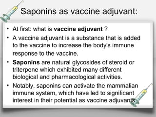 Saponins as vaccine adjuvant:
• At first: what is vaccine adjuvant ?
• A vaccine adjuvant is a substance that is added
to the vaccine to increase the body's immune
response to the vaccine.
• Saponins are natural glycosides of steroid or
triterpene which exhibited many different
biological and pharmacological activities.
• Notably, saponins can activate the mammalian
immune system, which have led to significant
interest in their potential as vaccine adjuvants.
 