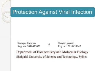 Protection Against Viral Infection
Department of Biochemistry and Molecular Biology
Shahjalal University of Science and Technology, Sylhet
Sadaqur Rahman
Reg. no: 2010433022
Tanvir Hossain
Reg. no: 2010433047
&
 