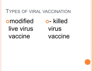 TYPES OF VIRAL VACCINATION
modified
live virus
vaccine
- killed
virus
vaccine
 