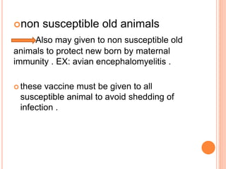 non susceptible old animals
Also may given to non susceptible old
animals to protect new born by maternal
immunity . EX: avian encephalomyelitis .
 these vaccine must be given to all
susceptible animal to avoid shedding of
infection .
 