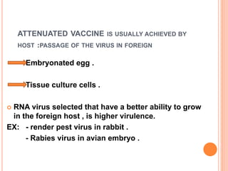 ATTENUATED VACCINE IS USUALLY ACHIEVED BY
PASSAGE OF THE VIRUS IN FOREIGN:HOST
Embryonated egg .
Tissue culture cells .
 RNA virus selected that have a better ability to grow
in the foreign host , is higher virulence.
EX: - render pest virus in rabbit .
- Rabies virus in avian embryo .
 