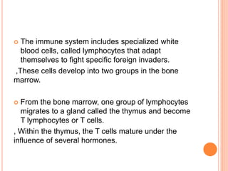  The immune system includes specialized white
blood cells, called lymphocytes that adapt
themselves to fight specific foreign invaders.
,These cells develop into two groups in the bone
marrow.
 From the bone marrow, one group of lymphocytes
migrates to a gland called the thymus and become
T lymphocytes or T cells.
, Within the thymus, the T cells mature under the
influence of several hormones.
 