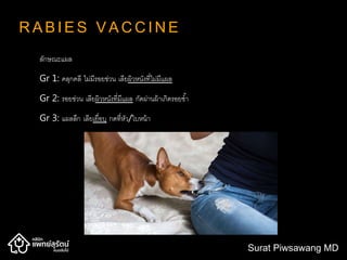 R A B I E S V A C C I N E
ลักษณะแผล
Gr 1: คลุกคลี ไม่มีรอยข่วน เลียผิวหนังที่ไม่มีแผล
Gr 2: รอยข่วน เลียผิวหนังที่มีแผล กัดผ่านผ้าเกิดรอยช้า
Gr 3: แผลลึก เลียเยื่อบุ กดที่หัว/ใบหน้า
Surat Piwsawang MD
 