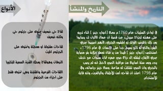 التطعيم ما له وما عليه