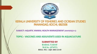 SUBJECT:-AQUATIC ANIMAL HEALTH MANAGEMENT (AAH503)(2+1)
TOPIC:- VACCINES AND ADJUVENTS USED IN AQUACULTURE
SUBMITTED BY
BADAL YADAV
M.F.Sc. (FNFT)
ROLL NO.~ AQC-2021-21-03
 