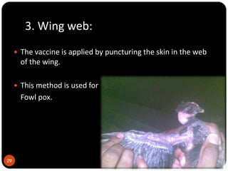 Vaccine and vaccination | PPTX
