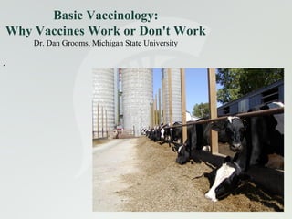 Basic Vaccinology:
Why Vaccines Work or Don't Work
Dr. Dan Grooms, Michigan State University

.

1

 