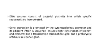 • DNA vaccines consist of bacterial plasmids into which specific
sequences are incorporated.
• Gene expression is promoted by the cytomegalovirus promoter and
its adjacent intron A sequence (ensures high transcription efficiency)
and elements like a transcription termination signal and a prokaryotic
antibiotic resistance gene.
 