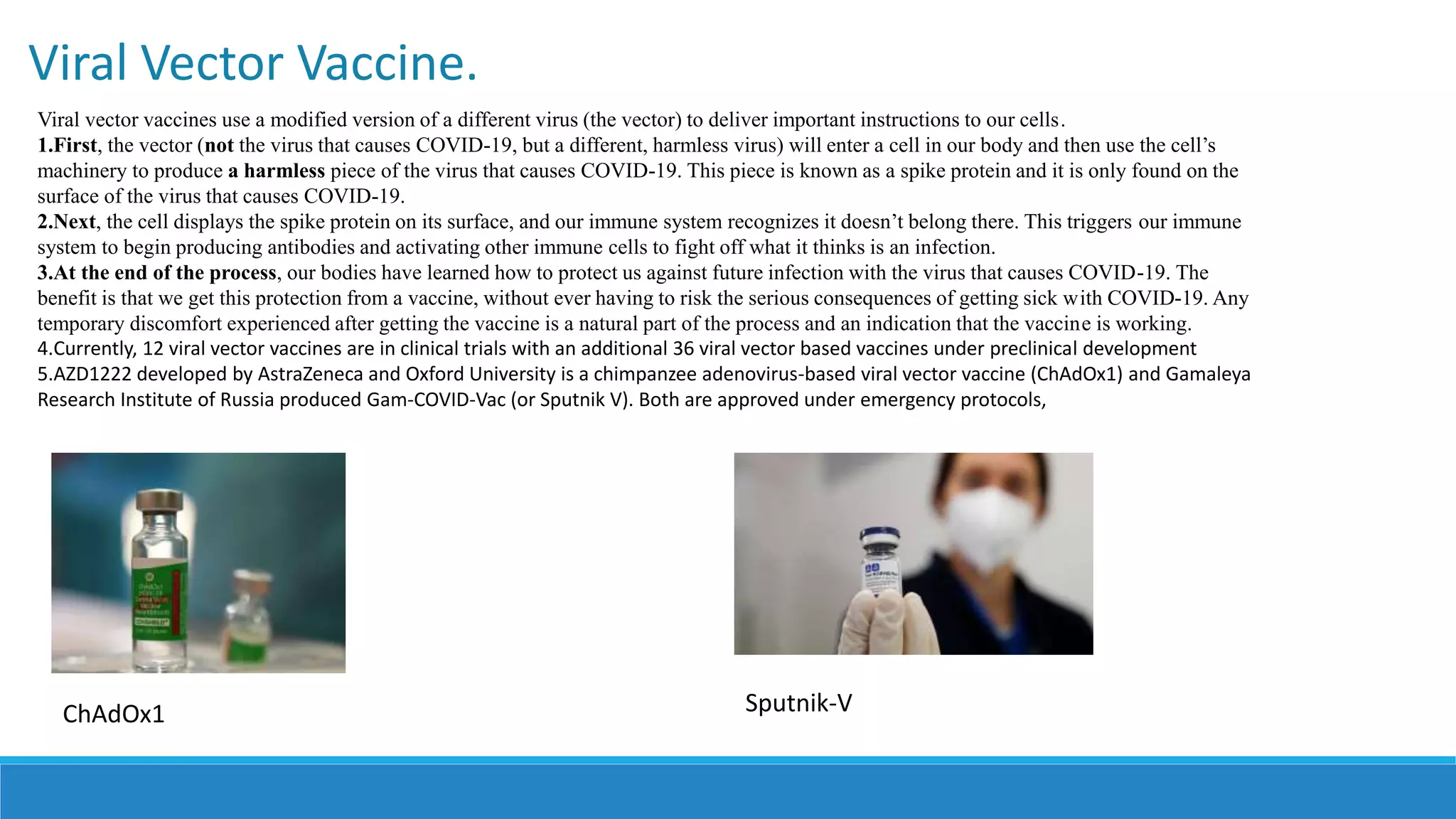 Viral Vector Vaccine.
Viral vector vaccines use a modified version of a different virus (the vector) to deliver important instructions to our cells.
1.First, the vector (not the virus that causes COVID-19, but a different, harmless virus) will enter a cell in our body and then use the cell’s
machinery to produce a harmless piece of the virus that causes COVID-19. This piece is known as a spike protein and it is only found on the
surface of the virus that causes COVID-19.
2.Next, the cell displays the spike protein on its surface, and our immune system recognizes it doesn’t belong there. This triggers our immune
system to begin producing antibodies and activating other immune cells to fight off what it thinks is an infection.
3.At the end of the process, our bodies have learned how to protect us against future infection with the virus that causes COVID-19. The
benefit is that we get this protection from a vaccine, without ever having to risk the serious consequences of getting sick with COVID-19. Any
temporary discomfort experienced after getting the vaccine is a natural part of the process and an indication that the vaccine is working.
4.Currently, 12 viral vector vaccines are in clinical trials with an additional 36 viral vector based vaccines under preclinical development
5.AZD1222 developed by AstraZeneca and Oxford University is a chimpanzee adenovirus-based viral vector vaccine (ChAdOx1) and Gamaleya
Research Institute of Russia produced Gam-COVID-Vac (or Sputnik V). Both are approved under emergency protocols,
ChAdOx1 Sputnik-V
 