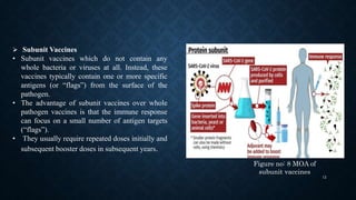  Subunit Vaccines
• Subunit vaccines which do not contain any
whole bacteria or viruses at all. Instead, these
vaccines t...