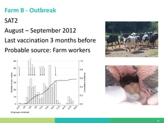 Vaccine evaluation on large-scale dairy farms using routine prophylactic schedules for FMD