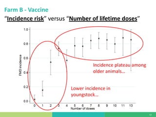 Vaccine evaluation on large-scale dairy farms using routine prophylactic schedules for FMD