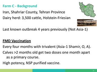 Vaccine evaluation on large-scale dairy farms using routine prophylactic schedules for FMD