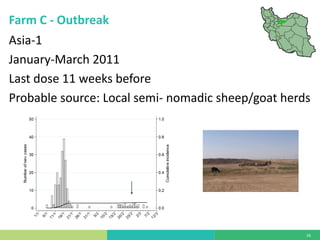 Vaccine evaluation on large-scale dairy farms using routine prophylactic schedules for FMD