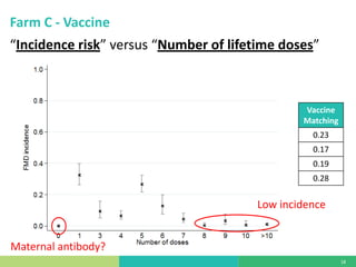 Vaccine evaluation on large-scale dairy farms using routine prophylactic schedules for FMD