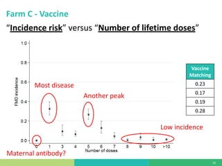 Vaccine evaluation on large-scale dairy farms using routine prophylactic schedules for FMD