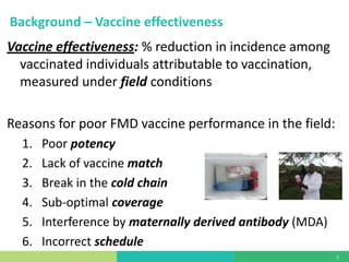 Vaccine evaluation on large-scale dairy farms using routine prophylactic schedules for FMD