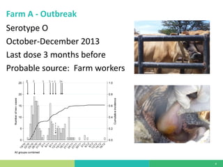 Vaccine evaluation on large-scale dairy farms using routine prophylactic schedules for FMD