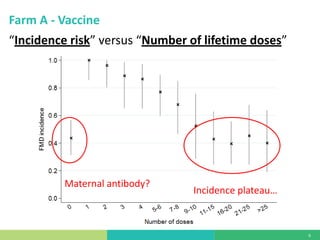 Vaccine evaluation on large-scale dairy farms using routine prophylactic schedules for FMD