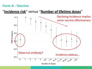 Vaccine evaluation on large-scale dairy farms using routine prophylactic schedules for FMD