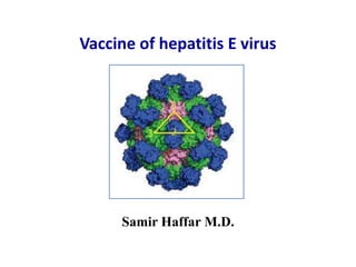 Vaccine of hepatitis E virus
Samir Haffar M.D.
 