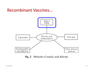 5/19/2023 43
Recombinant Vaccines…
 
