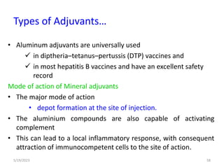 • Aluminum adjuvants are universally used
 in diptheria–tetanus–pertussis (DTP) vaccines and
 in most hepatitis B vaccines and have an excellent safety
record
Mode of action of Mineral adjuvants
• The major mode of action
• depot formation at the site of injection.
• The aluminium compounds are also capable of activating
complement
• This can lead to a local inflammatory response, with consequent
attraction of immunocompetent cells to the site of action.
5/19/2023 58
Types of Adjuvants…
 