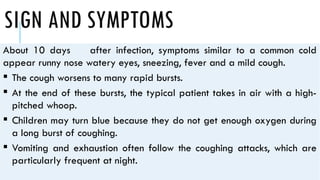 SIGN AND SYMPTOMS
About 10 days after infection, symptoms similar to a common cold
appear runny nose watery eyes, sneezing, fever and a mild cough.
 The cough worsens to many rapid bursts.
 At the end of these bursts, the typical patient takes in air with a high-
pitched whoop.
 Children may turn blue because they do not get enough oxygen during
a long burst of coughing.
 Vomiting and exhaustion often follow the coughing attacks, which are
particularly frequent at night.
 
