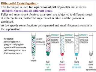 Differential Centrifugation –
This technique is used for separation of cell organelles and involves
 different speeds and at different times.
Pellet and supernatant obtained as a result are subjected to different speeds
at different times, further the supernatant is taken and the process is
continued.
At low speeds some fractions get separated and small fragments remain in
the supernatant.


  Repeated
  centrifugation at
  progressively higher
  speeds will fractionate
  cell homogenates into
  their components.
 