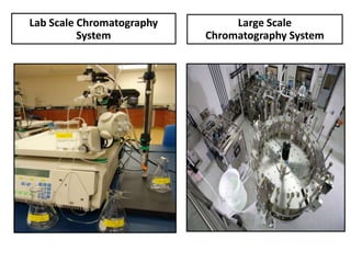 Lab Scale Chromatography        Large Scale
          System           Chromatography System
 