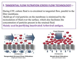 2. TANGENTIAL FLOW FILTRATION (CROSS FLOW TECHNOLOGY) :-

During CFF, culture fluid is re-circulated in tangential flow, parallel to the
filter membrane.
 Build-up of viral particles on the membrane is minimised by the
recirculation of fluid over the surface, which also facilitates the
concentration of particles present in the retained fluid.
Mainly used in purifying inactivated Arboviral antigen.
 