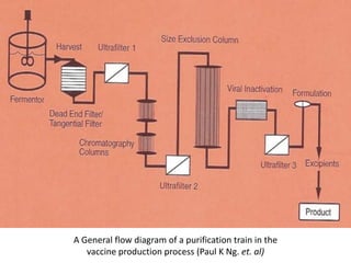 A General flow diagram of a purification train in the
   vaccine production process (Paul K Ng. et. al)
 