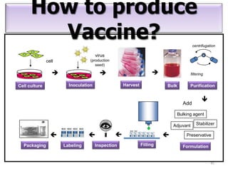 How to produce
        Vaccine?                                                                        centrifugation

                                      virus
               cell               (production
                                     seed)

                                                                                    filtering


Cell culture            Inoculation                 Harvest             Bulk       Purification




                                                                                              
                                                                                Add

                                                                             Bulking agent

                                                                            Adjuvant       Stabilizer
                                                                     
                                                                                  Preservative

  Packaging           Labeling        Inspection              Filling           Formulation


                                                                                                   45
 