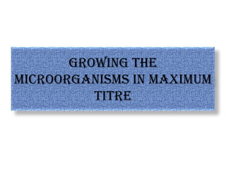 Growing the
microorganisms in maximum
          titre
 
