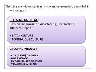 Growing the microorganism in maximum are mainly classified in
  two category :


  GROWING BACTERIA :
  Bacteria are grown in bioreactors e.g.Haemophilus
  influenzae type b.

   - BATCH CULTURE
  - CONTINUOUS CULTURE

  GROWING VIRUSES :

  - CELL (TISSUE) CULTURES
  - BIRD EMBRYOS
  - LIVE ANIMAL INOCULATION
  - TRANSGENIC ANIMALS
 
